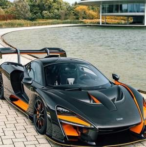 Meet your Posher, Brady